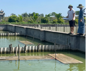 Khởi nghiệp nuôi baba gai chỉ với 1 triệu
